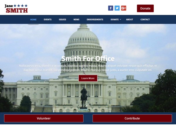 political wordpress templates and themse
